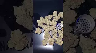 Grow Pharma Creamy Kees 24%