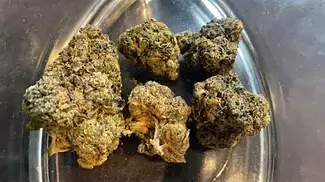 4c Labs T18 Jokerz REVIEW