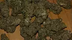 Peace Naturals Space Cake Strain Review 