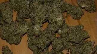 Peace Naturals Space Cake Strain Review 