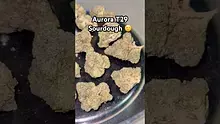 Pain Patient Video Thumbnail