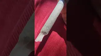 Roll Test - London Marker