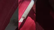 Pseudo Recreational Video Thumbnail