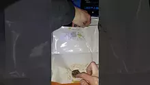 Smacksalad Video Thumbnail