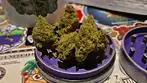 Peace Naturals® SLF T34 Sonic Lemon Fuel Medical Cannabis Flower