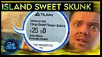  Tilray Island Sweet Skunk Medical Cannabis Review 