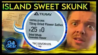  Tilray Island Sweet Skunk Medical Cannabis Review 
