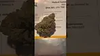 Mango fuel medical cannabis uk