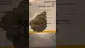 Video Thumbnail: Concanna