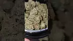 UK medical, Big narstie Moroccan peaches, and Grow strawberry banana