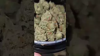 UK medical, Big narstie Moroccan peaches, and Grow strawberry banana