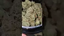 Green Man Video Thumbnail