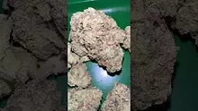 Bajan Video Thumbnail