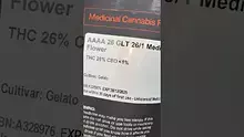 DumbYout Video Thumbnail
