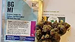 BG God Bud (first impressions) UK Medical Cannabis 26.8 THC