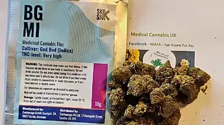BG God Bud (first impressions) UK Medical Cannabis 26.8 THC