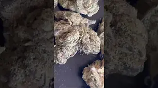 4pt Animal Face 25%thc 1%cbd #medicalcannabis #medicated #cannabiscommunity #420