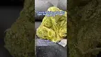Carmel: Spiked Mai Tai (A closer look & Terp breakdown)