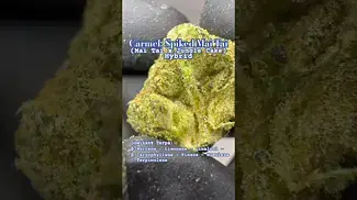 Carmel: Spiked Mai Tai (A closer look & Terp breakdown)