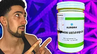 Most Unique Sativa Strain on UK Medical | Equiposa by Aurora