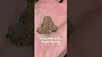 Big Narstie Medical PM T26 Purple Milk Medical Cannabis Flower preview #bignarstie #ukcannabis #420