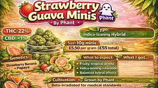 Strawberry Guava minis. Medical cannabis by Phant only £5.50 a gram, is it worth it?