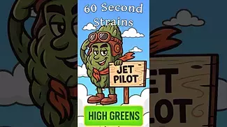  Jet Pilot — High Greens | 60 Second Strains Review  (THC: 22%)  #medicalcannabis