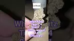 Tegridy Rating White Runtz By Craft Botanics