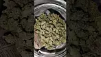Oaxacan Kush by 4C Labs MC #uk #medical #kush