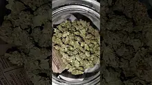 WestPacks420 Video Thumbnail