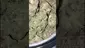 Video Thumbnail: Mayor Green