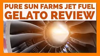 Pure Sun Farms Jet Fuel Gelato Review