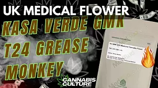 UK MEDICAL FLOWER | KASA VERDE |  GMK | T24 | Grease Monkey