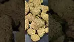 AAAA RIPPED OFF RUNTZ (UK PRESCRIPTION MEDICATION)