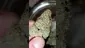 Video Thumbnail: WestPacks420