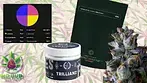 Trillianz by Green Karat T30 : Medical Cannabis Review