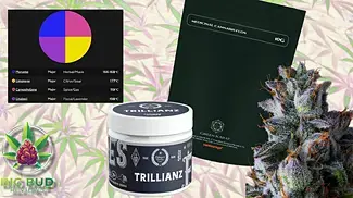 Trillianz by Green Karat T30 : Medical Cannabis Review