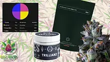 Big Bud Reviews Video Thumbnail