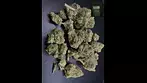 4C Labs - sundial GoldBerry (GDB) 27 THC