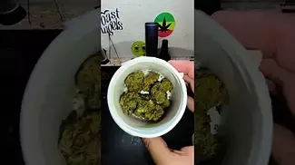 Pave34 30%THC from CB1