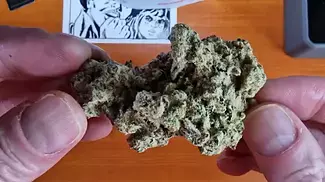 YODA CAP FIRST IMPRESSIONS | Papers, Cuntourage & Xeal Pharma | 29% | 9/g