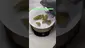 Video Thumbnail: Review Budd
