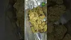 Sundaze - Pink Snowcone - UK Medical Flower - first look 