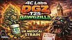 UK MEDICAL FLOWER  | 4C LABS | DAWGZILLA | T25