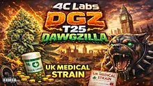 Cannabis Culture  Video Thumbnail