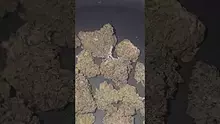 Eazypax420 Video Thumbnail