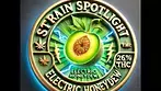 Aurora Pedanios Electric Honeydew Review  | 26 THC Strain Spotlight & Effects Breakdown