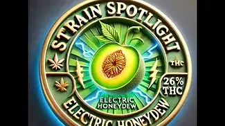 Aurora Pedanios Electric Honeydew Review  | 26 THC Strain Spotlight & Effects Breakdown