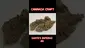 Video Thumbnail: HighStandards420