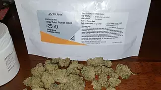 Tilray master kush 25 thc strain review snoops favourite strain?